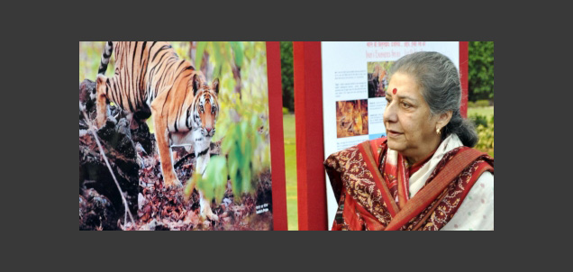 ambikasoni011