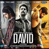 david