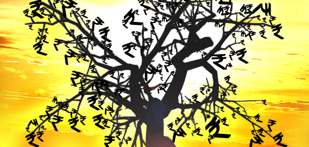 money-tree