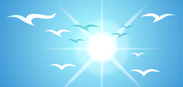 sunny-day