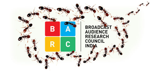 barc-with-ants